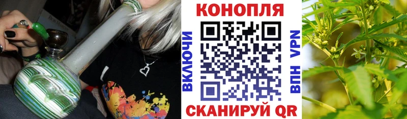 Бошки марихуана THC 21%  Купить где  Няндома 